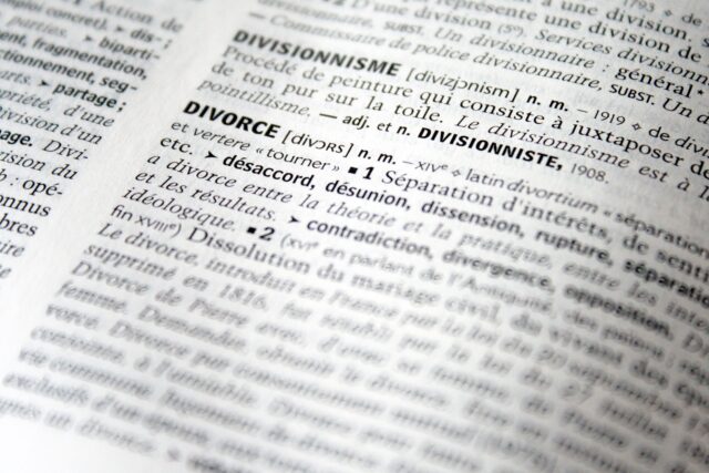 Close-up of a French dictionary page displaying entries for "divisionnisme" and "divorce in New Jersey," with clear and readable text focused on the definitions.