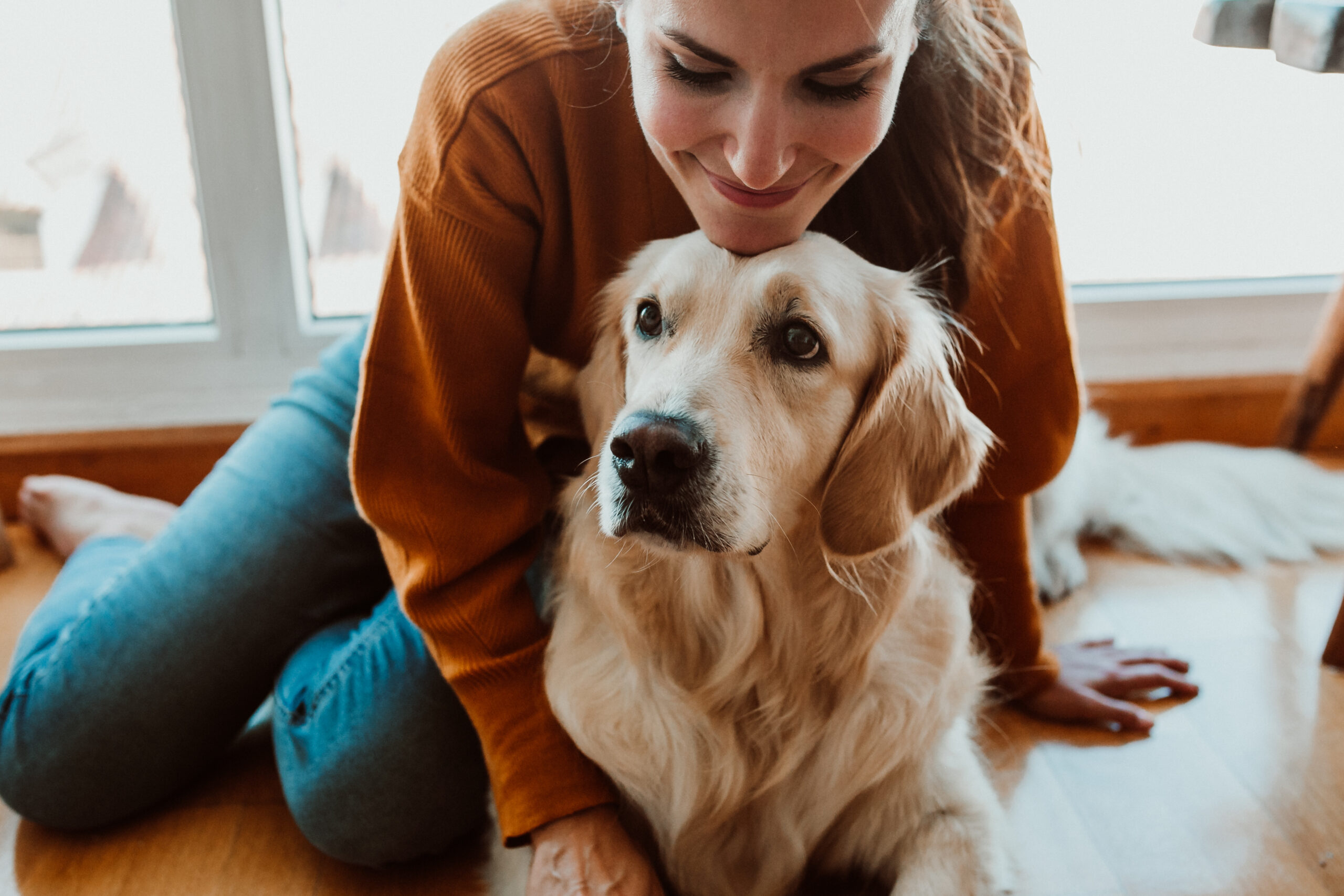 owner with pet