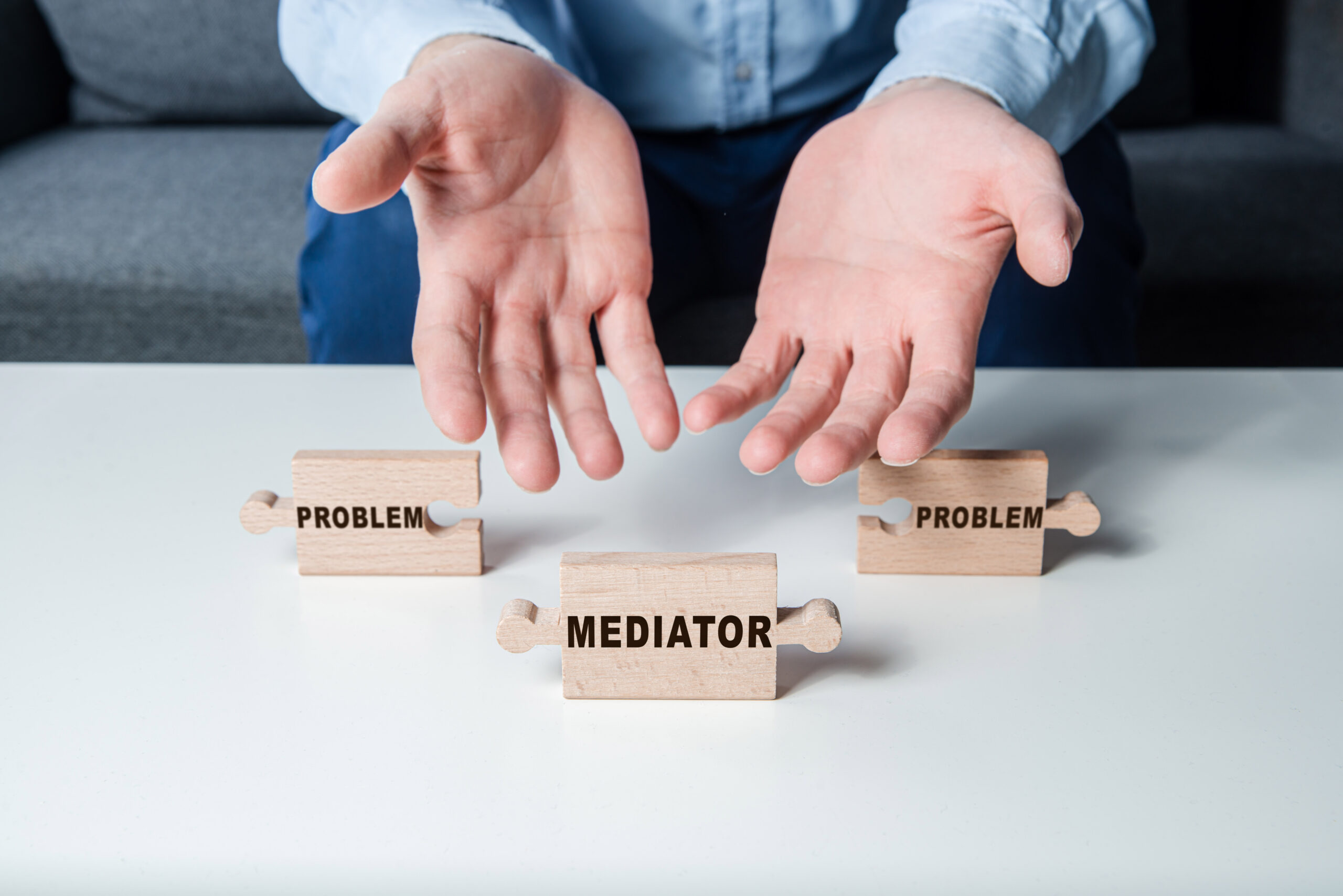 The man is holding a wooden puzzle with the words Problem and Mediator in his hands. Mediator problem solving concept.
